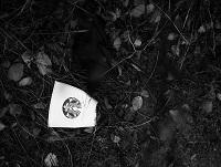 Image of littered coffee cup Image of littered coffee cup