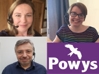 Collage of council staff