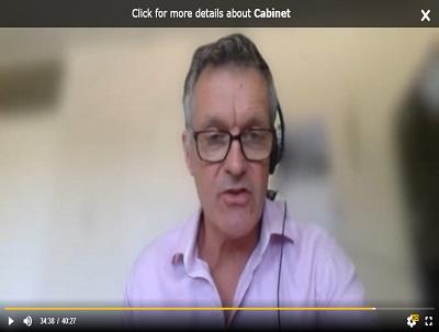 Image of a councillor at an online Cabinet meeting