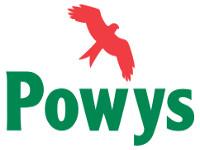 Council logo