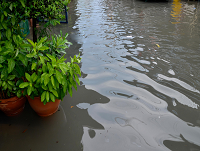 Image of flood