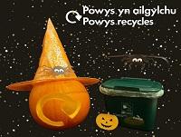 Image of pumpkin and food recycling box