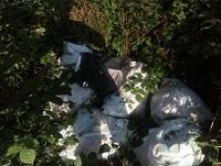 Image of fly-tipping in Caersws Image of fly-tipping in Caersws