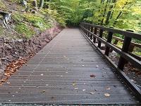 Image of new Priory Groves boardwalk