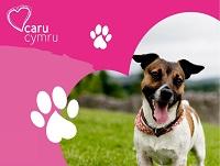 Image of a dog and the caru cymru branding