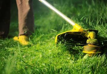 grass cutting grass cutting