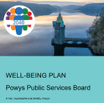 PSB Well being plan icon