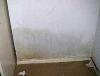 Rising damp