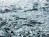 A flood