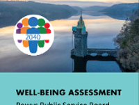 PSB Well Being Assessment Icon