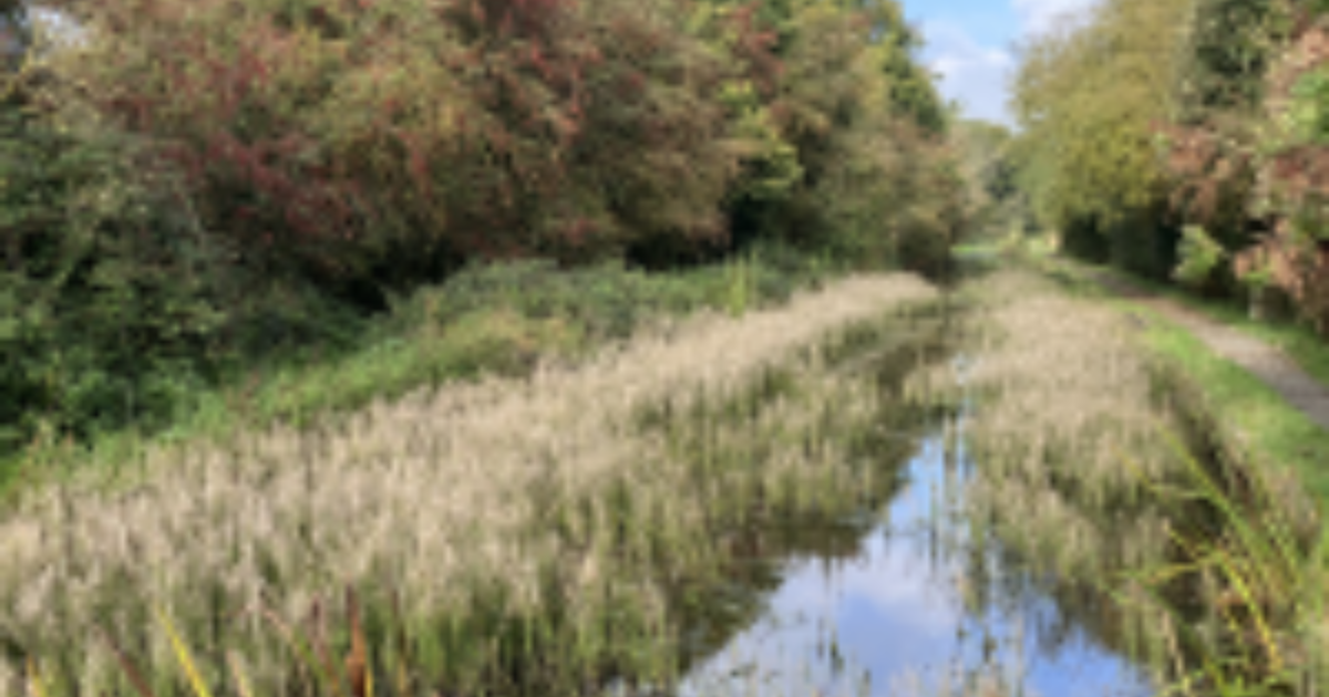Second phase of dredging underway on Montgomery Canal restoration 