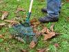 Garden waste