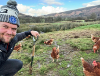 Dan Lydiate with his free-range chickens at Abbeycwmhir.