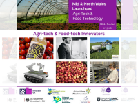 Some of the projects that have been funded by MFA from Innovate UK