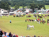 Image of the Royal Welsh Show