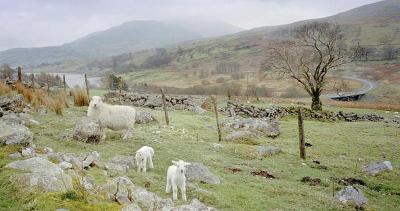 Climate change - farming