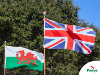 Image of the Y Ddraig Goch and Union Jack flags