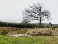A pond created to help with nature-based water management in the Guilsfield Brook catchment.