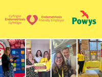 A collage of images from endometriosis action month 