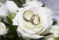Image of wedding rings Image of wedding rings