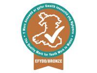 Image of the Bronze Youth Work Quality Mark