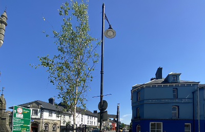 Street trees 1