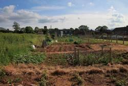 Talgarth Allotment Gardens Talgarth Allotment Gardens