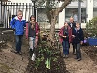 Image of the Crickhowell library gardening session