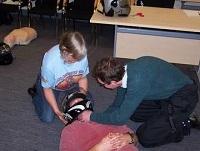 Image of Biker Down training demonstration Image of Biker Down training demonstration