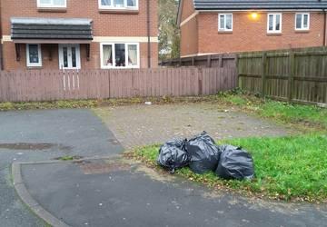 black bins dumped