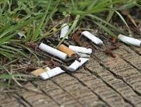 Image of some cigarette ends