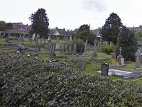 Image representing Dog fouling issue delays grass cutting in council cemetery