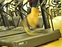 Image of a running machine