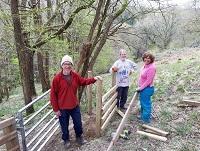 Image representing Volunteers improve rights of way network around Old Radnor
