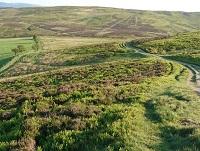 Image of common land Image of common land