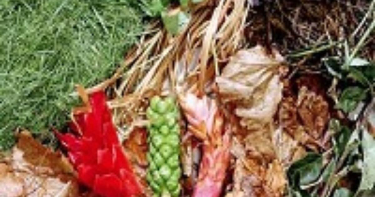 Resident Fined For Dumping Garden Waste Powys County Council