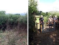 Before and after image of the footpath