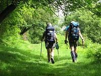 Image of some ramblers Image of some ramblers