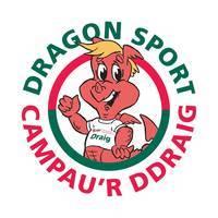 Image of the Dragon Sport logo