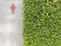Image representing Powys Public Toilet Strategy Consultation - January 2019