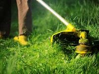 Image of a grass strimmer