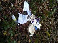 Image of littering in Ystradgynlais Image of littering in Ystradgynlais