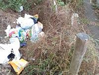 Image of fly-tipping found in Newtown Image of fly-tipping found in Newtown
